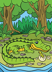 Un crocodile et un petit crocodile qui sort d'un œuf 