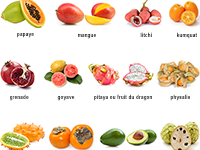 Imagier pour apprendre les noms des fruits exotiques