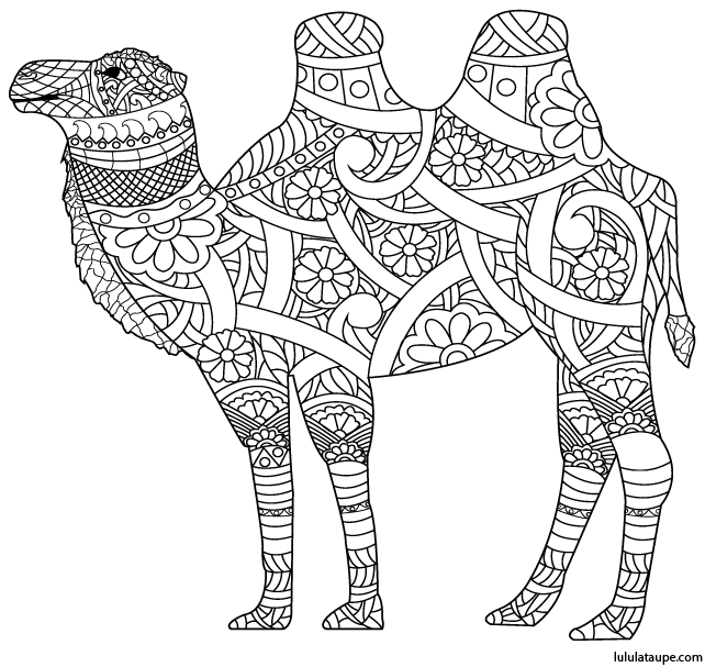 Dessin abstrait en noir et blanc pour adultes ou enfants, un chameau
