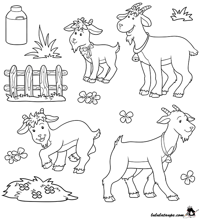 Dessin gratuit à colorier, les animaux de la ferme : un bouc, une chèvre, des chevreaux