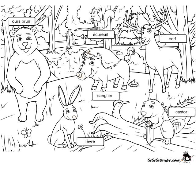 coloriage animaux foret maternelle