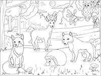 Coloriage Magique Addition Coloriage Animaux De La Forêt à