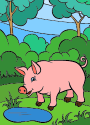 Coloriage, un cochon