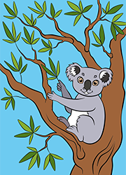 Un koala, coloriage à imprimer