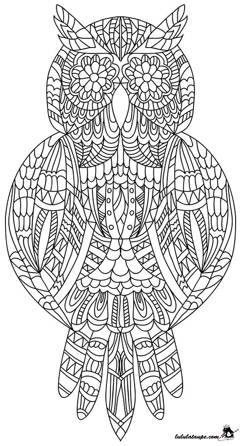 Coloriage adulte, un hibou - Lulu la taupe, jeux gratuits ...