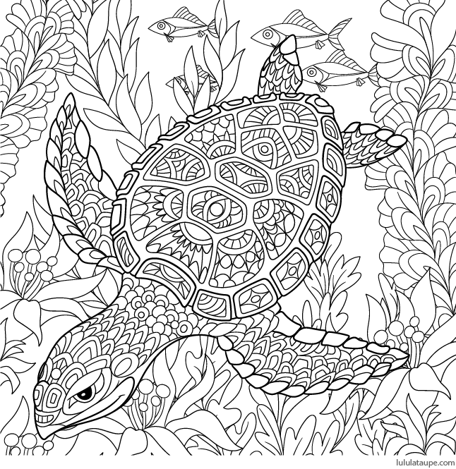 coloriage antistress une tortue marine lulu la taupe jeux gratuits pour enfants de poisson endormi