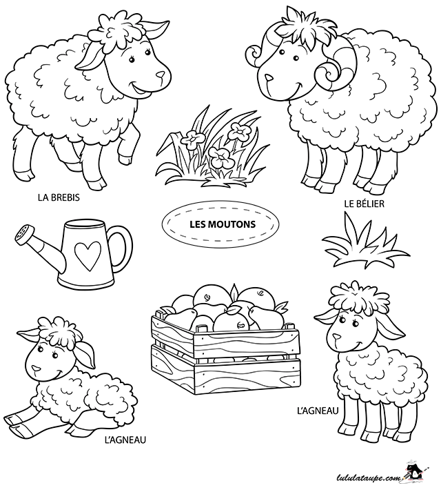 Dessin gratuit à colorier, des moutons : bélier, brebis et agneaux