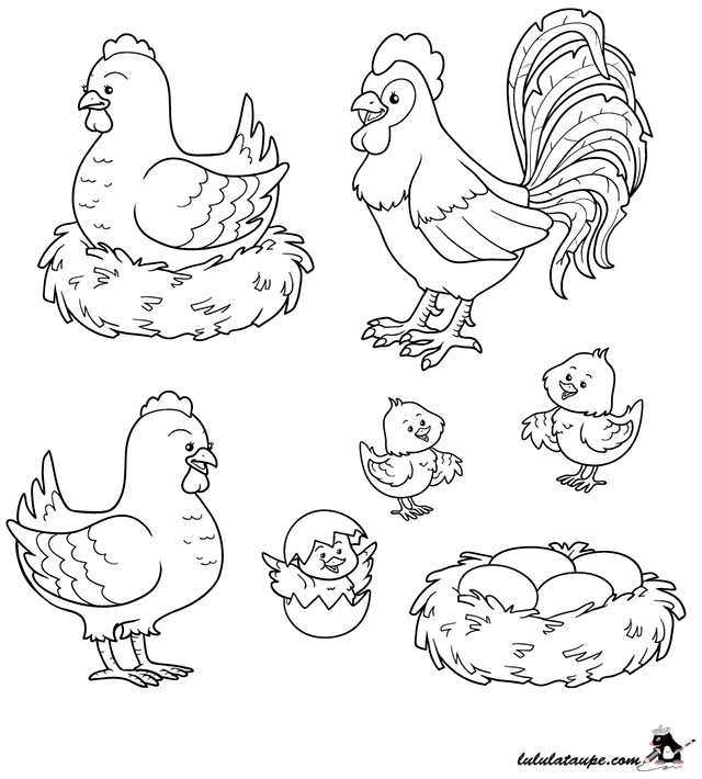 Dessin gratuit à colorier : un coq, une poule, des poussins