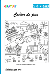 Cahier de jeux d'observation ; maternelle et CP