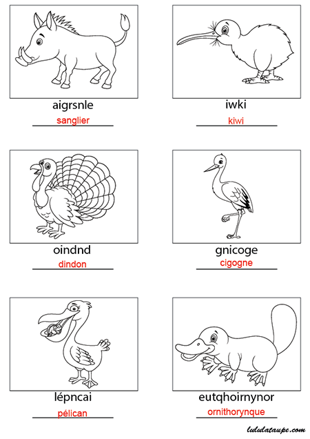 Solution, du jeu d'anagrammes, les animaux